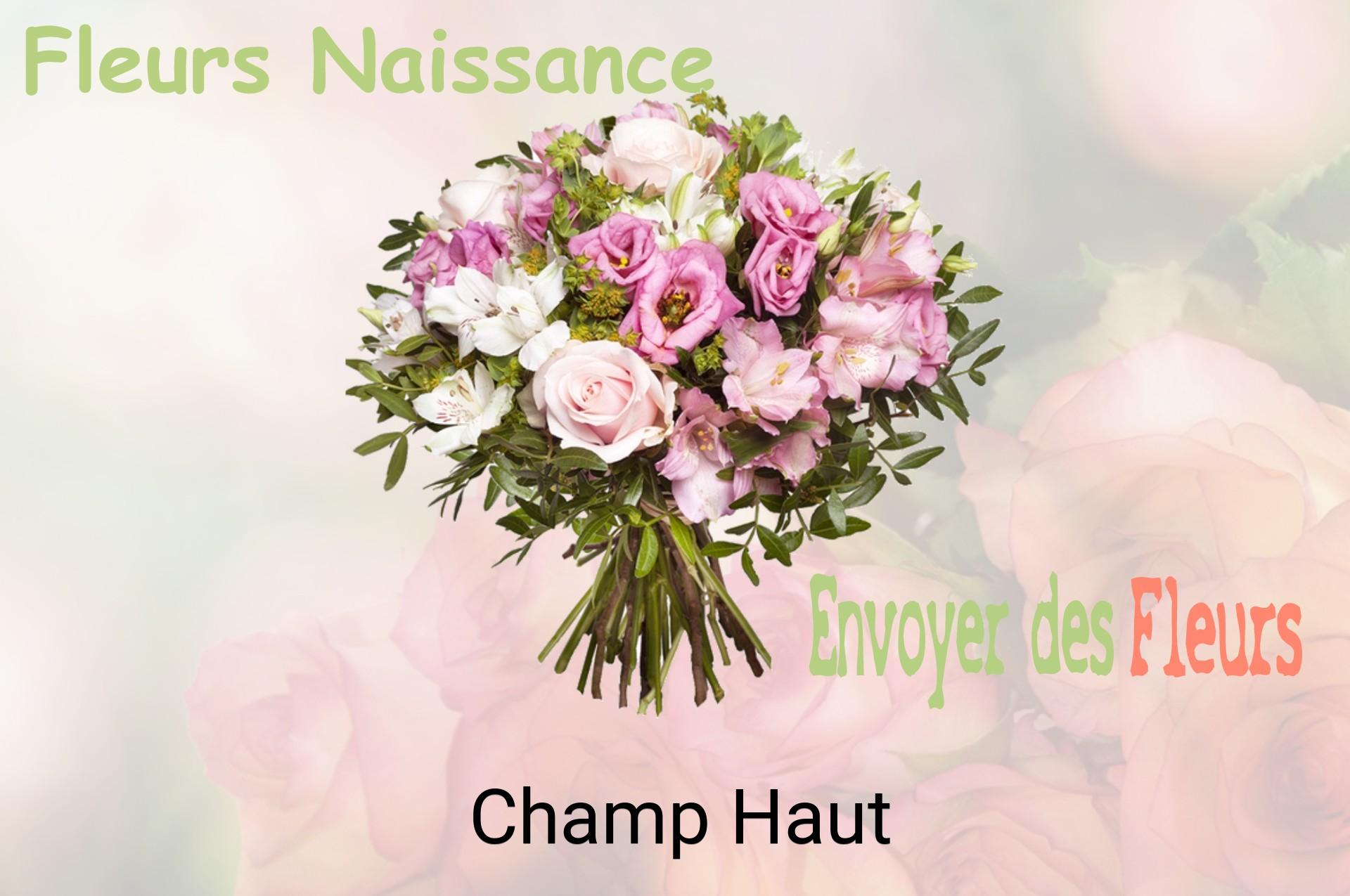Bouquet de fleurs de naissance livré à Champ-Haut