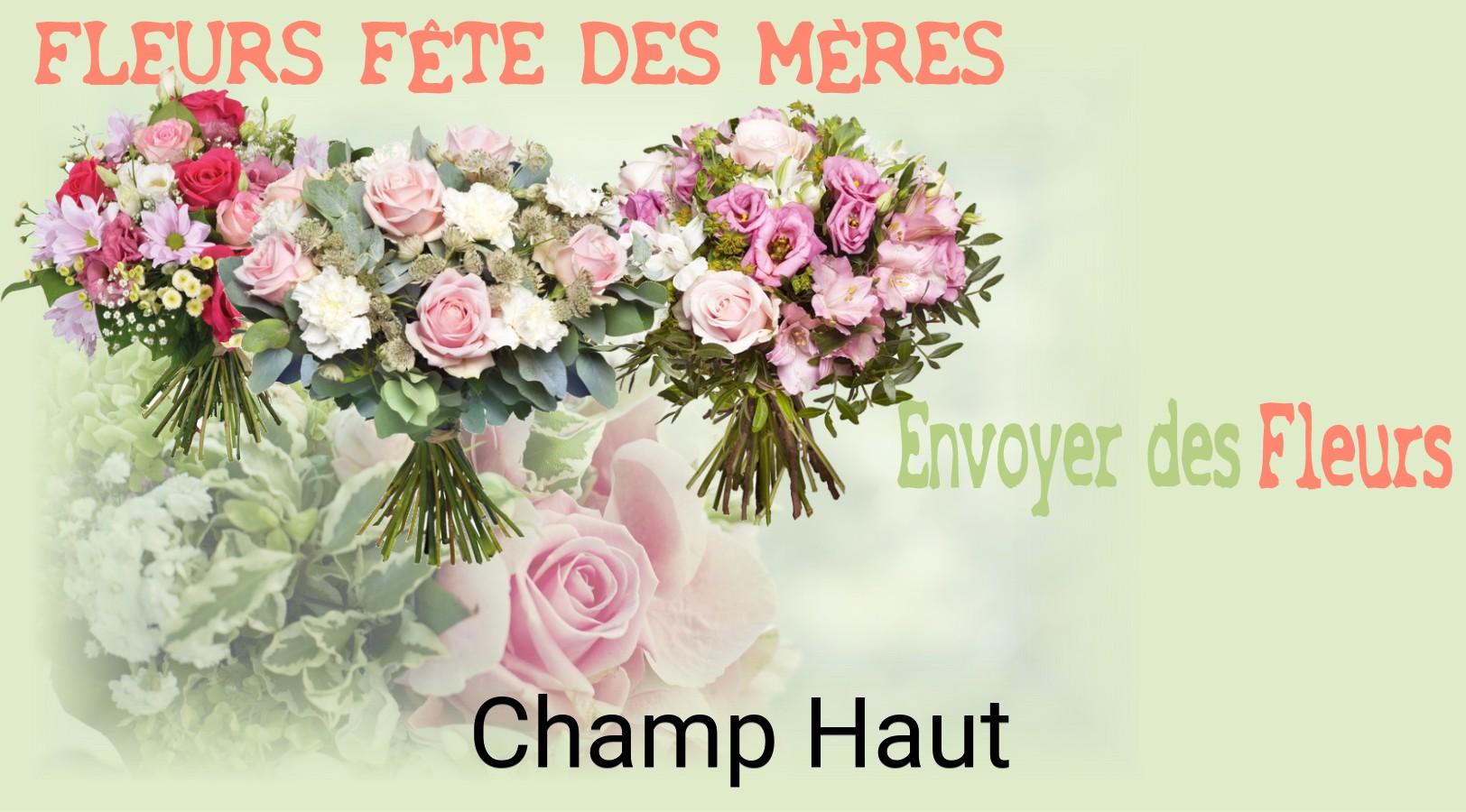 Bouquet de Fête des Mères livré à Champ-Haut